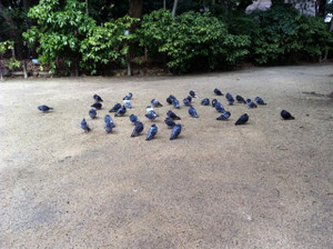 Th_img_0932