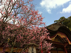 Th_20130302_144157