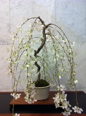 20130309_194440_2