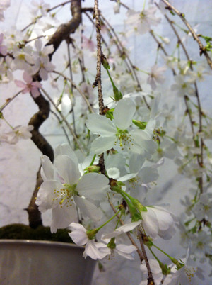 20130309_194534