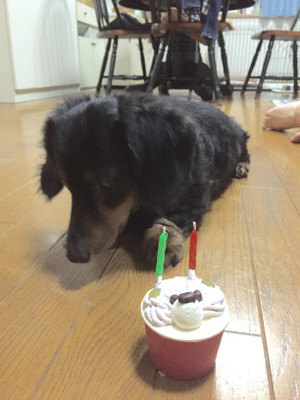 Image_4