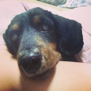 Image_7